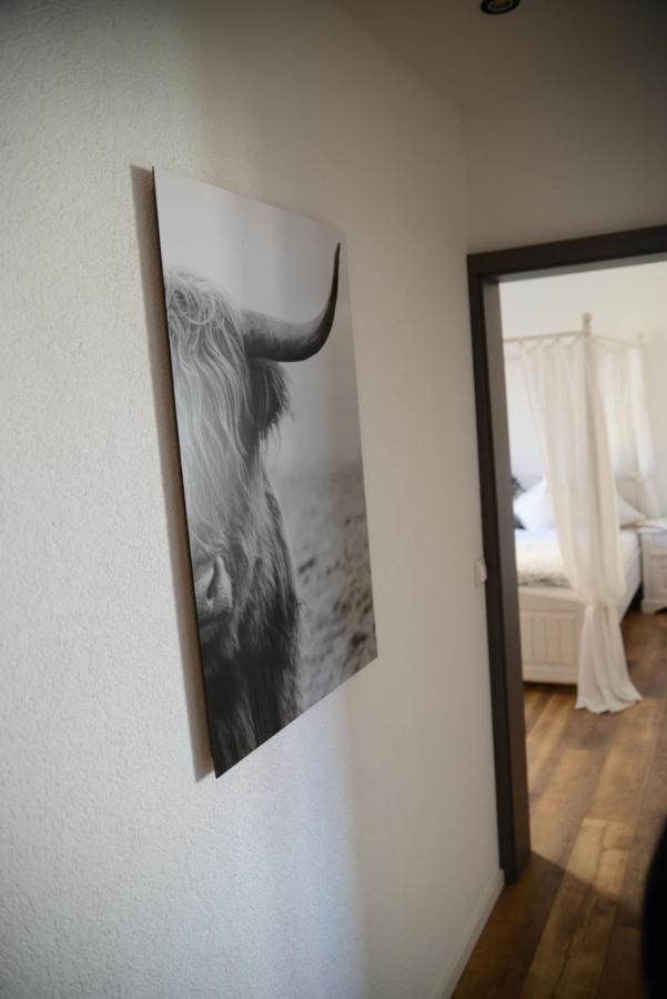 Apartment Alte Schule Daun